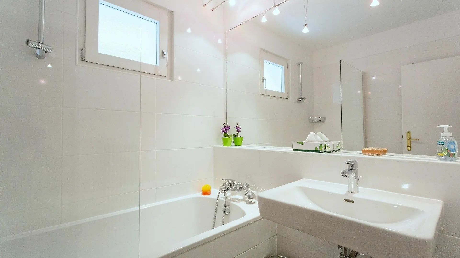 Vienna Apartment Am Schwedenplatz